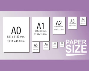 Sheet Size Guide Curated Just for You!