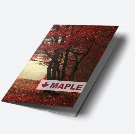 A5 Single Sided Folders