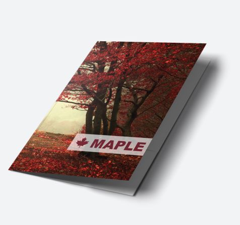 A5 Single Sided Folders