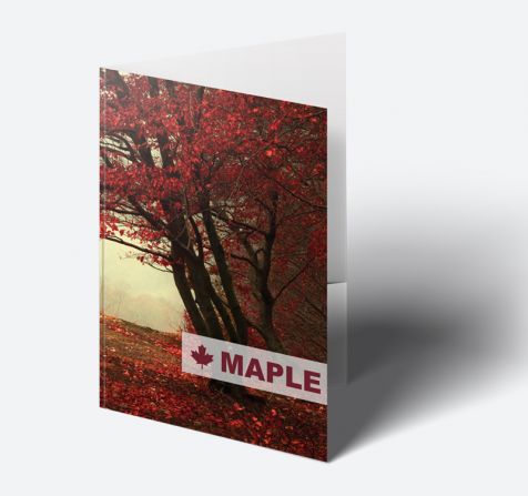 A5 Single Sided Folders