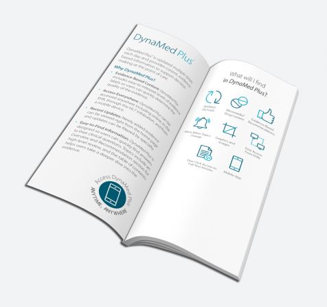 DL Perfect Bound Brochures